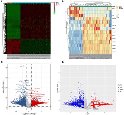 N1-Methyladenosine (m1A) Regulation Associated With the Pathogenesis of Abdominal Aortic Aneurysm Through YTHDF3 Modulating Macrophage Polarization